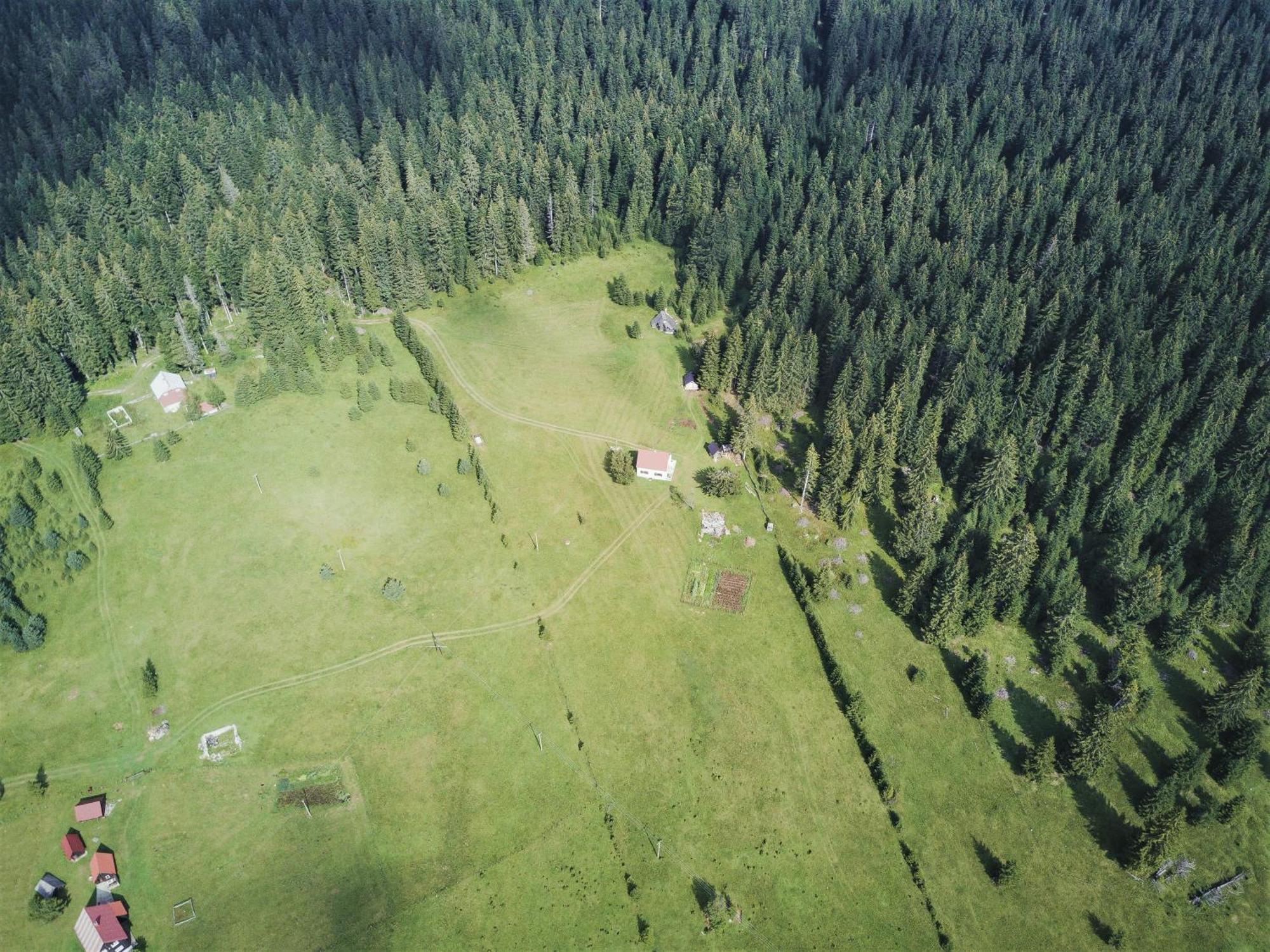 Homestay Djerkovic Жабляк Экстерьер фото