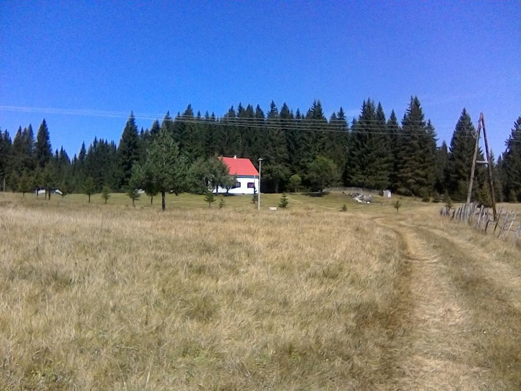 Homestay Djerkovic Жабляк Экстерьер фото