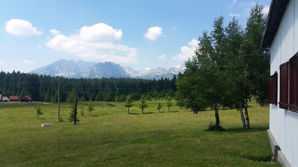 Homestay Djerkovic Жабляк Экстерьер фото