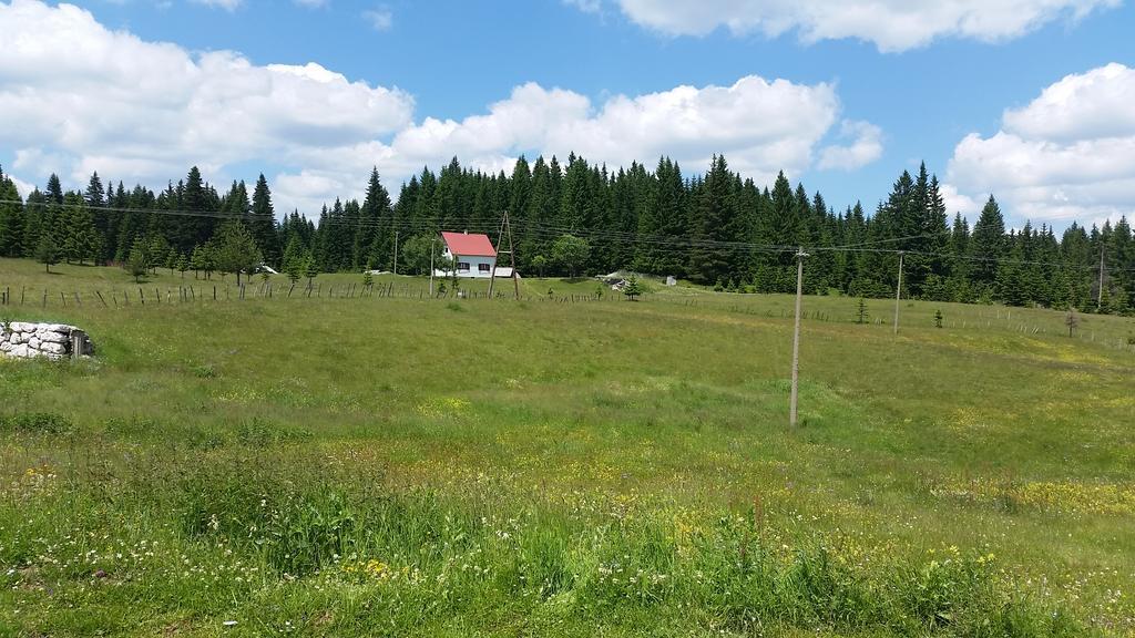 Homestay Djerkovic Жабляк Экстерьер фото